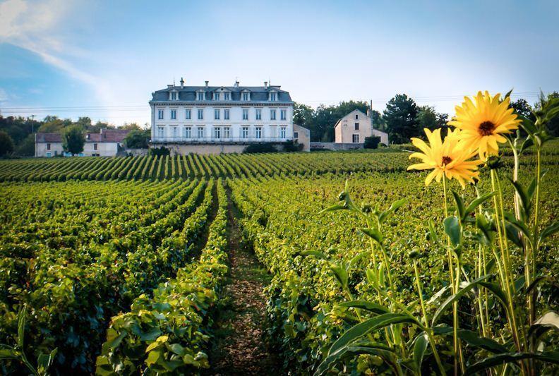 Gites Chateau Comblanchien Экстерьер фото