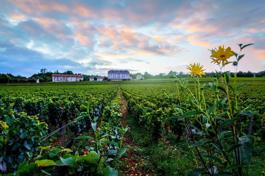 Gites Chateau Comblanchien Экстерьер фото